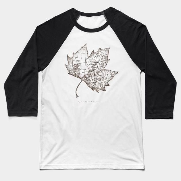 Travel With The Wind Baseball T-Shirt by Tobe_Fonseca